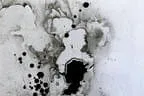 Test Bild 1