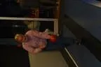 test Bild 1